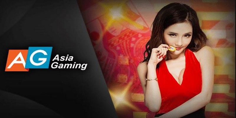 Asia gaming đáp ứng cho yêu cầu của tất cả hội viên khi cá cược